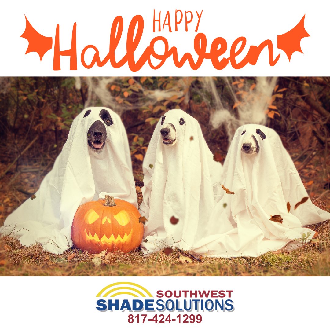 SWShadeSolution's tweet image. Happy Halloween from Southwest Shade Solutions!

southwestshadesolutions.com