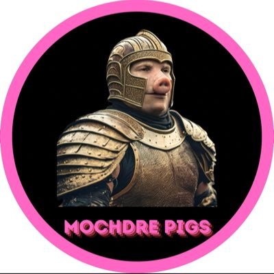 🚨🐷Mochdre Pigs have been spotted making multiple top signings to the club.

In a press conference, Mikedmaax: "I will aim to build to win the LOC and make the Pigs the best team in the league".

(Source: LOCnews)