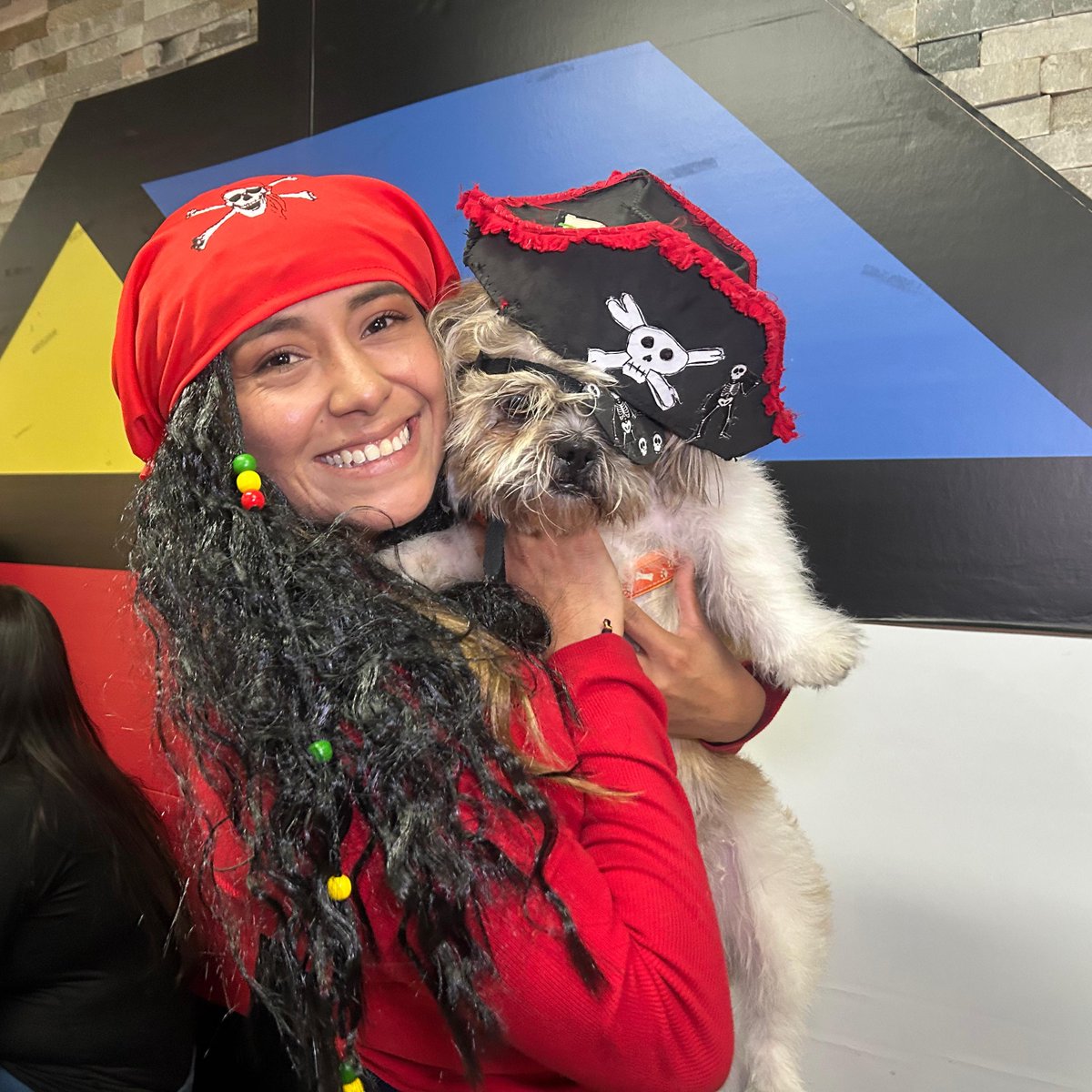 Homecenter_co's tweet photo. 🎃 ¡Llegó #Halloween! ¿Listo tu disfraz o el de tu mascota? Comenta con una calabaza 🎃 y prepárate para ganar en la actividad más espeluznante de #Homecenter 👻.   Iniciamos a las 100 calabazas, válido solo un comentario por perfil. #Boo https://t.co/KBSwjXmRhX