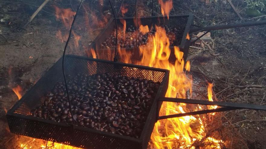 Agoniza octubre para dar la alternativa a noviembre, un mes cargado de ancestrales tradiciones y costumbres en Aliste #Sejas <a href="/opiniondezamora/">LA OPINIÓN DE ZAMORA</a> dlvr.it/TFwRjg