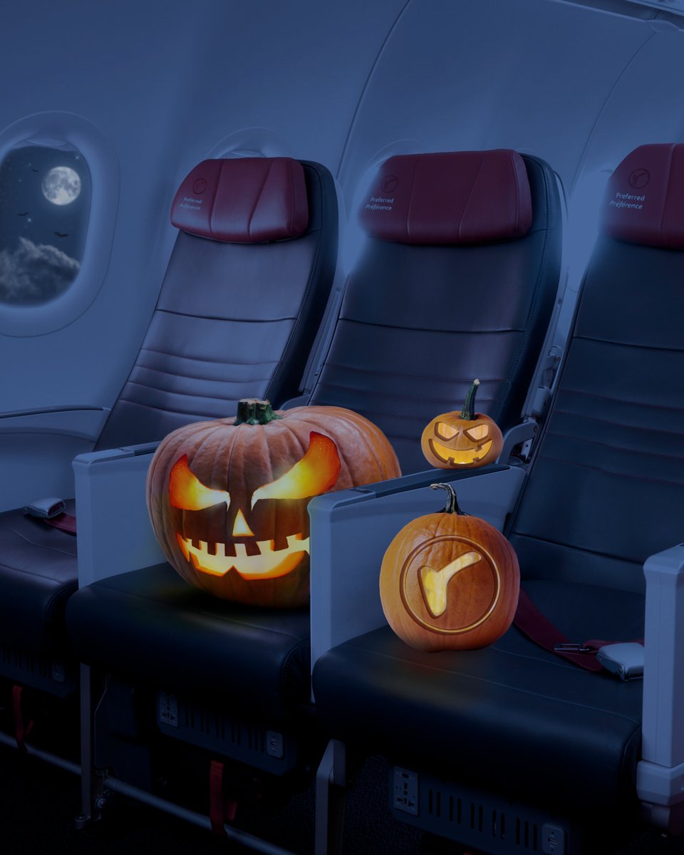 Gourd vibes only. 🎃