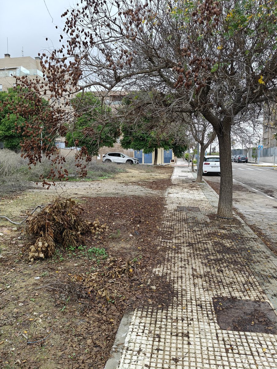 seminuni's tweet photo. Total abandono y suciedad en la zona de avenida de la República Española, Mairena del Aljarafe, Sevilla desde hace tiempo no se limpia las calles https://t.co/KK5zbkUroB