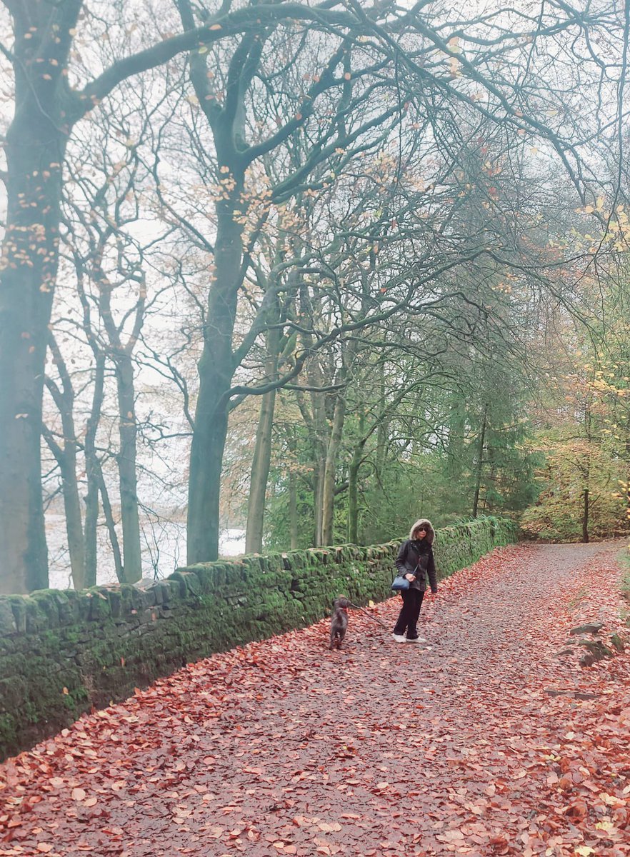 Beautiful little autumn walk at Entwistle.