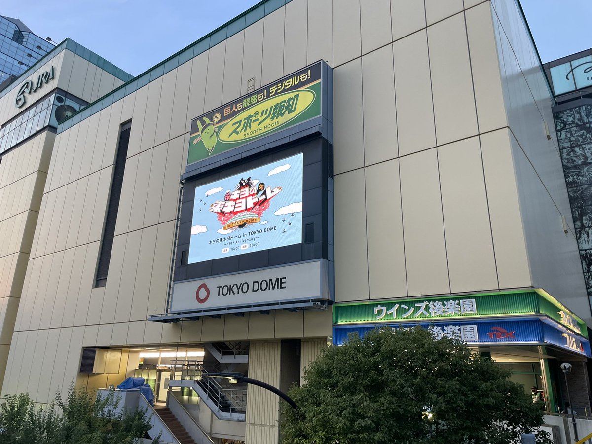 いくぽん ♂ tweet media