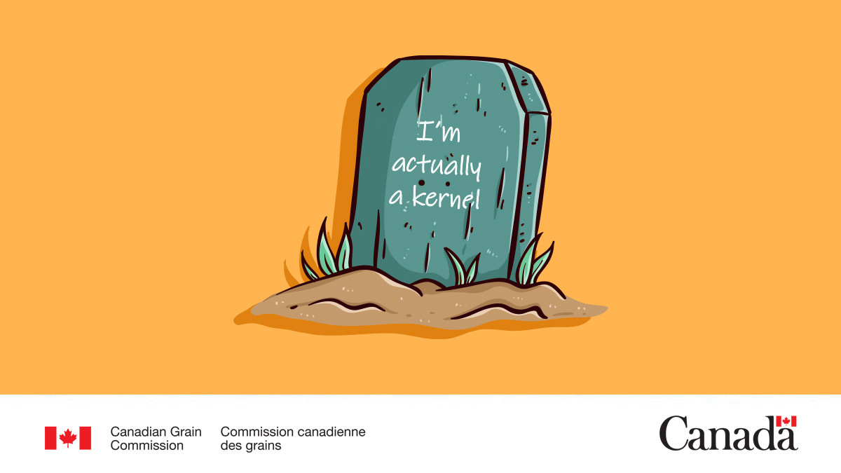Canadian Grain Commission tweet media