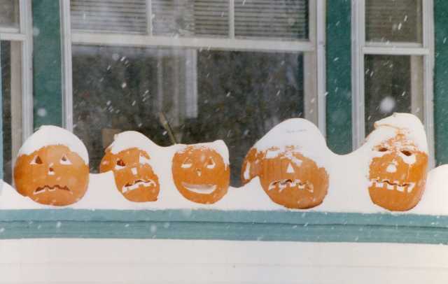 mnhs's tweet photo. On October 31, 1991, the snow began to fall in the early to mid-afternoon and fell steadily for almost three days. When it stopped, snow measured over thirty inches in the eastern part of Minnesota, from Duluth to Dodge Center, breaking a record set in 1882. https://t.co/U7WS3FxSc3