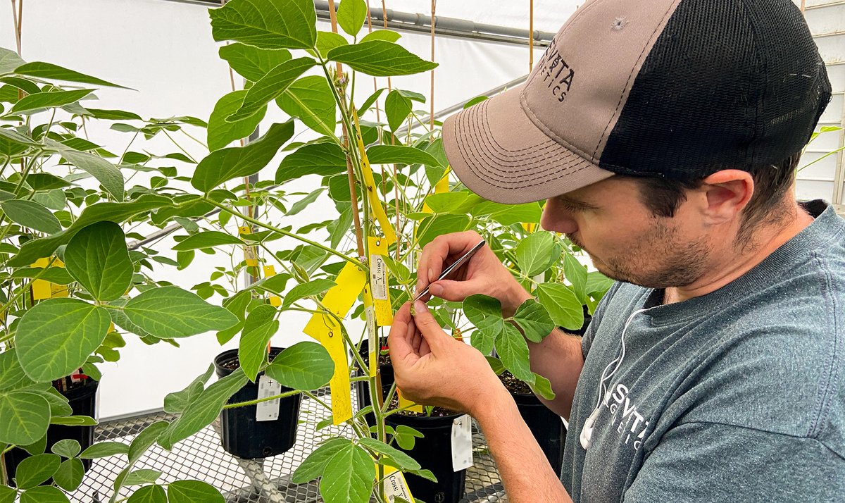 Sevita Genetics is pleased to announce our participation in a $4.3 million initiative to continue our work in improving the performance of food-grade soybeans for Canadian growers and creating value for end users around the world. 

Read the full news story: