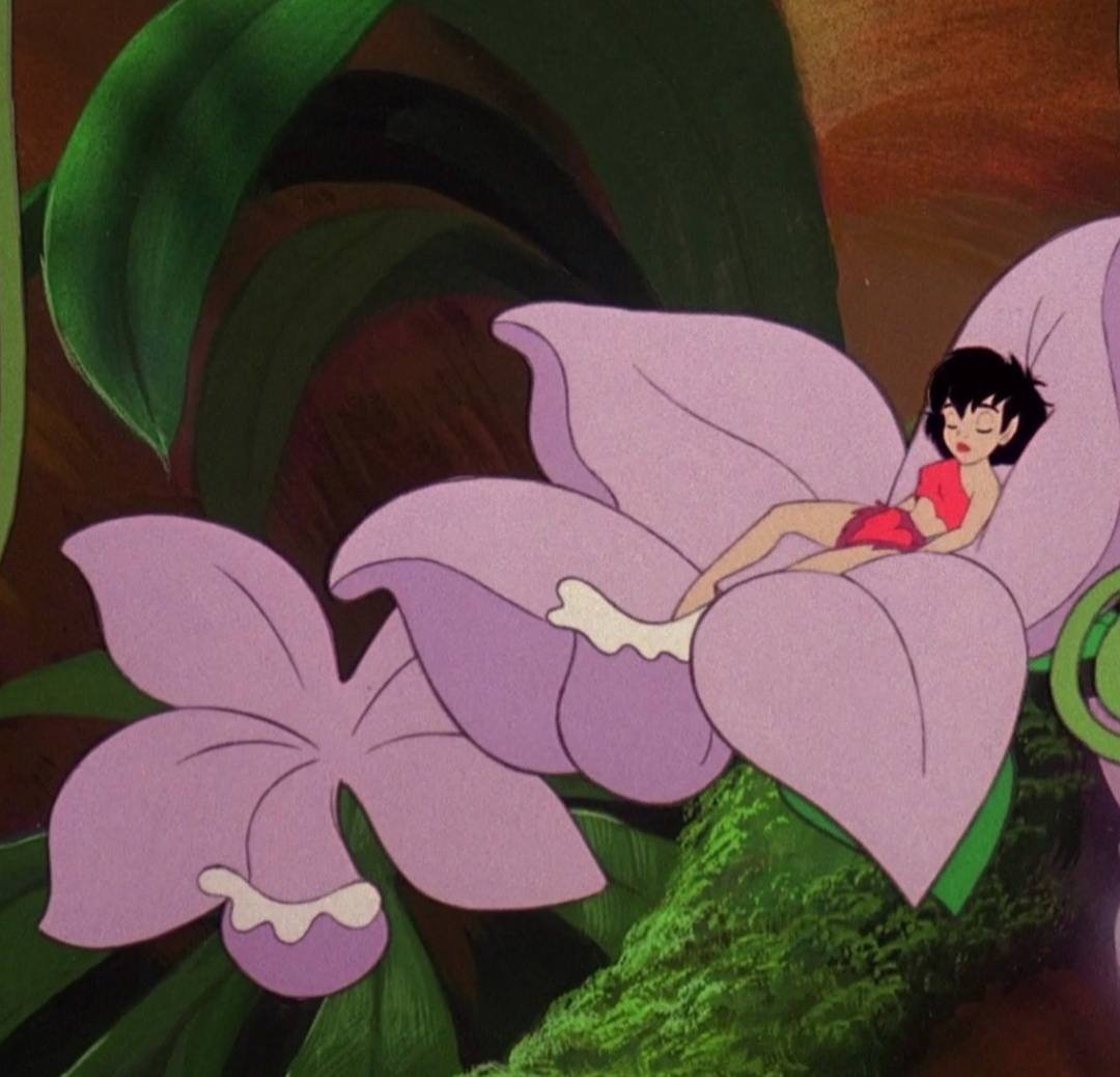 Girls only want one thing