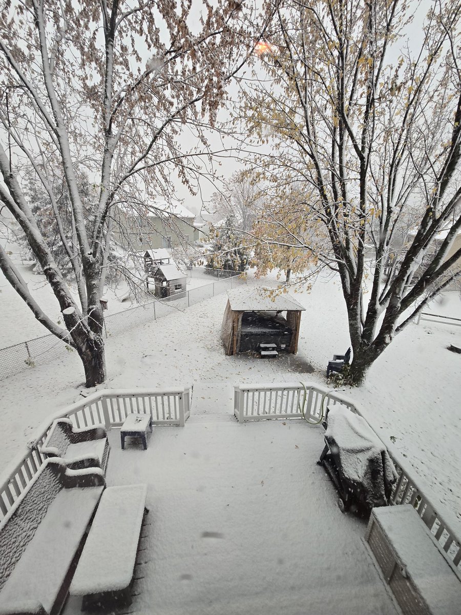 Halloween in Minnesota.