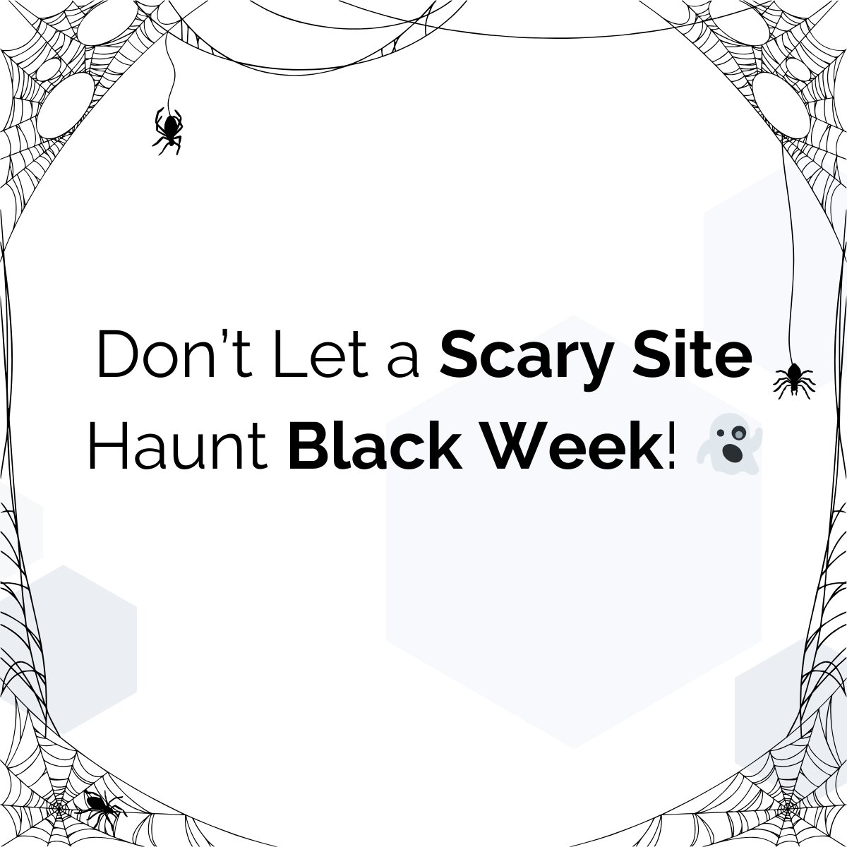 Hatimeria tweet media