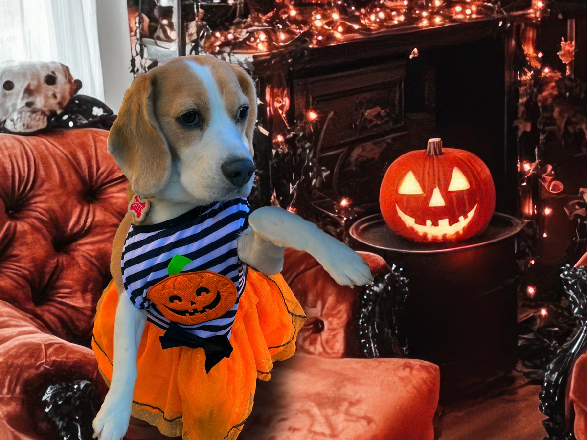 Happy Halloween🎃👻