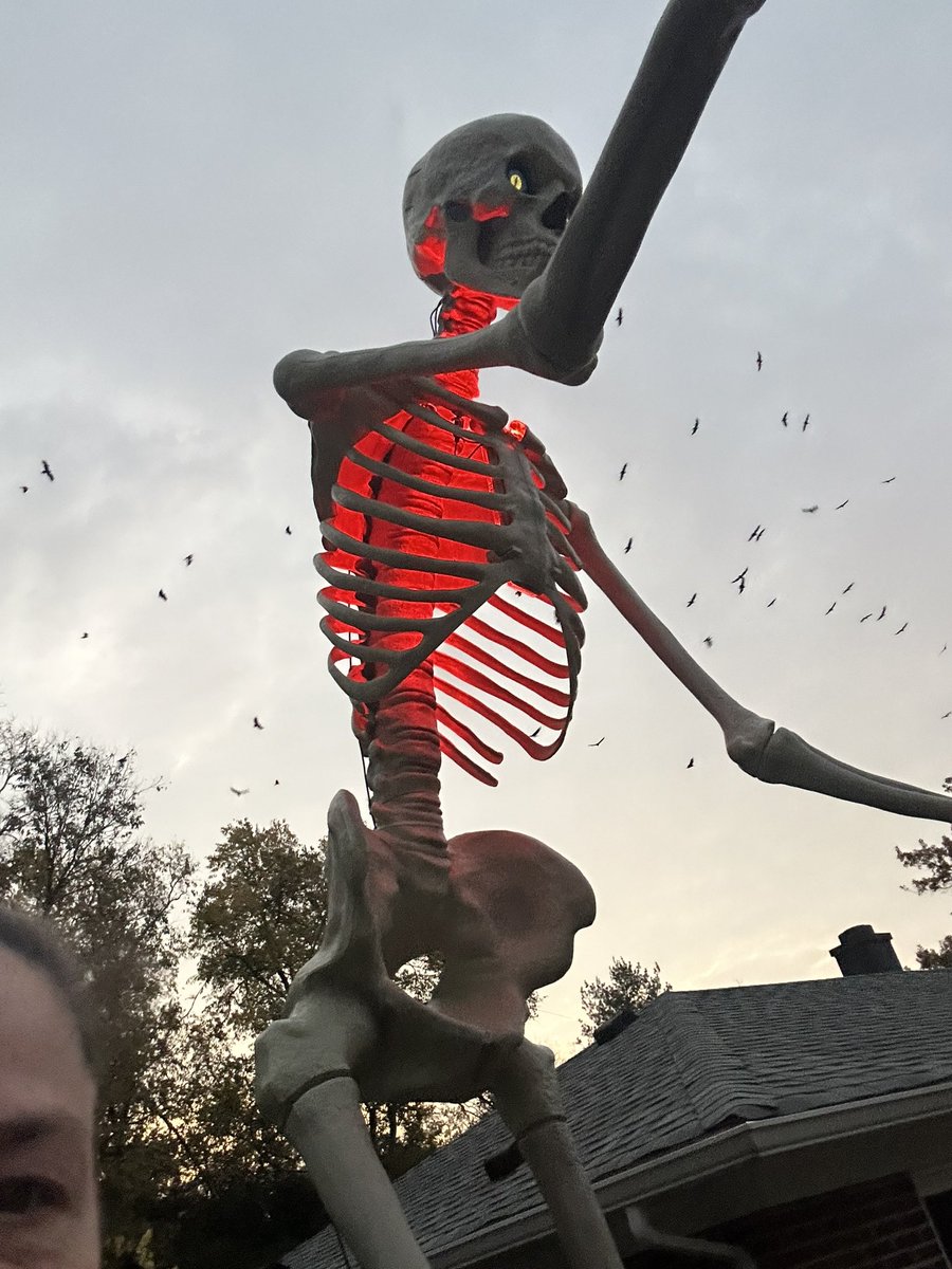 1OhioSteelerFan's tweet photo. Happy Halloween Family and Friends 🎃👻🕸💀 Have A Spooktacular Thursday October 31st 2024. 🕸💀👻🎃
Skelly says have a Birduful Halloween 🐦‍⬛💀
#12FootSkelly https://t.co/BwHSh85FmM
