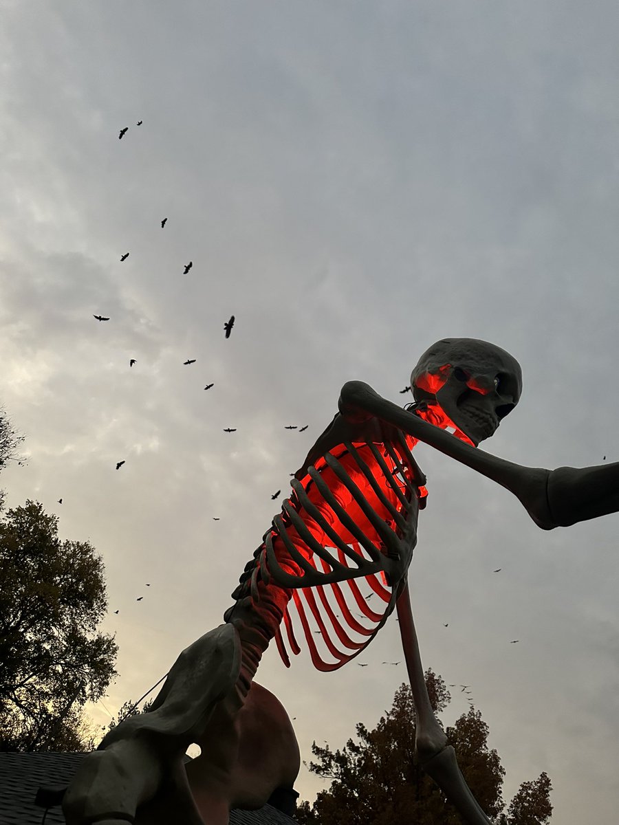 1OhioSteelerFan's tweet photo. Happy Halloween Family and Friends 🎃👻🕸💀 Have A Spooktacular Thursday October 31st 2024. 🕸💀👻🎃
Skelly says have a Birduful Halloween 🐦‍⬛💀
#12FootSkelly https://t.co/BwHSh85FmM
