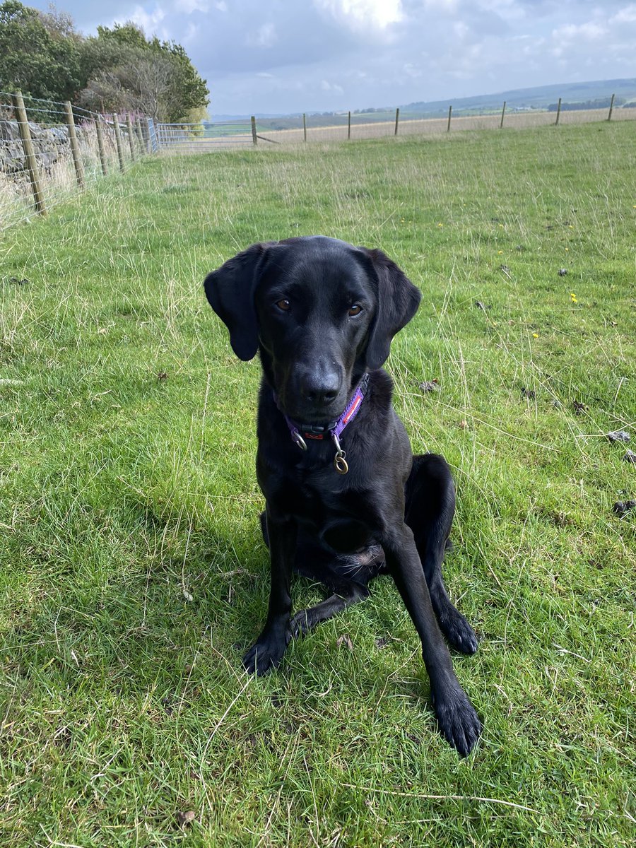 Musical Memories CIC tweet media