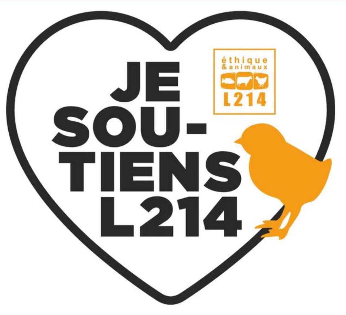 Julien Courbet tweet media