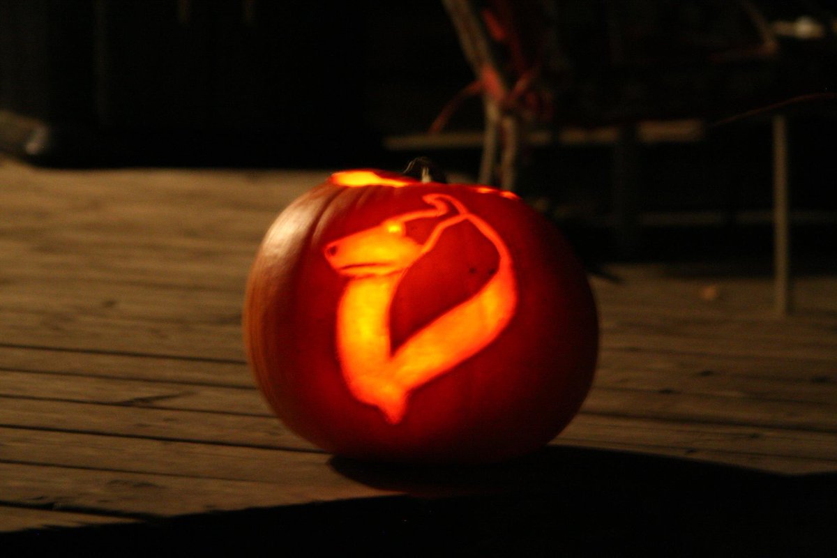 CollieOf's tweet photo. Happy Halloween! https://t.co/c4pawijBgW