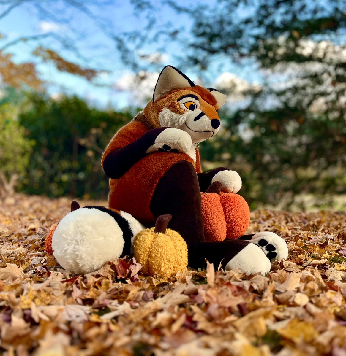 #HappyHalloween from this Pumpkin!

<a href="/PlushLife_eu/">PlushLife</a> Red Fox