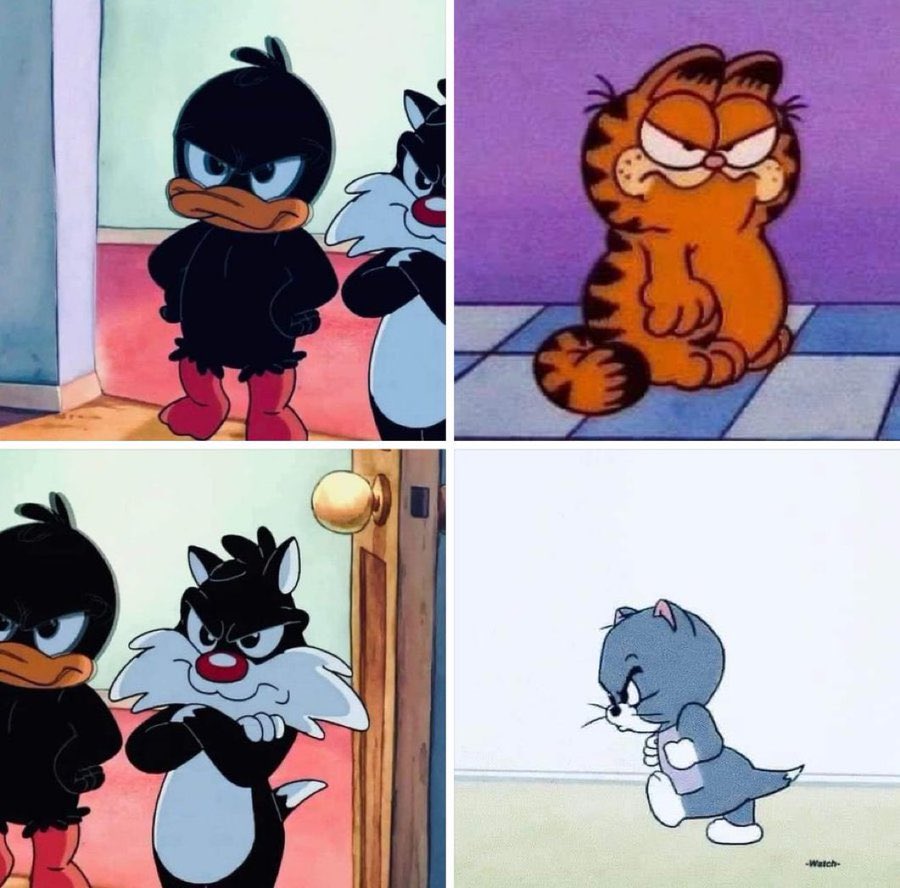 pendejo estupido tweet media