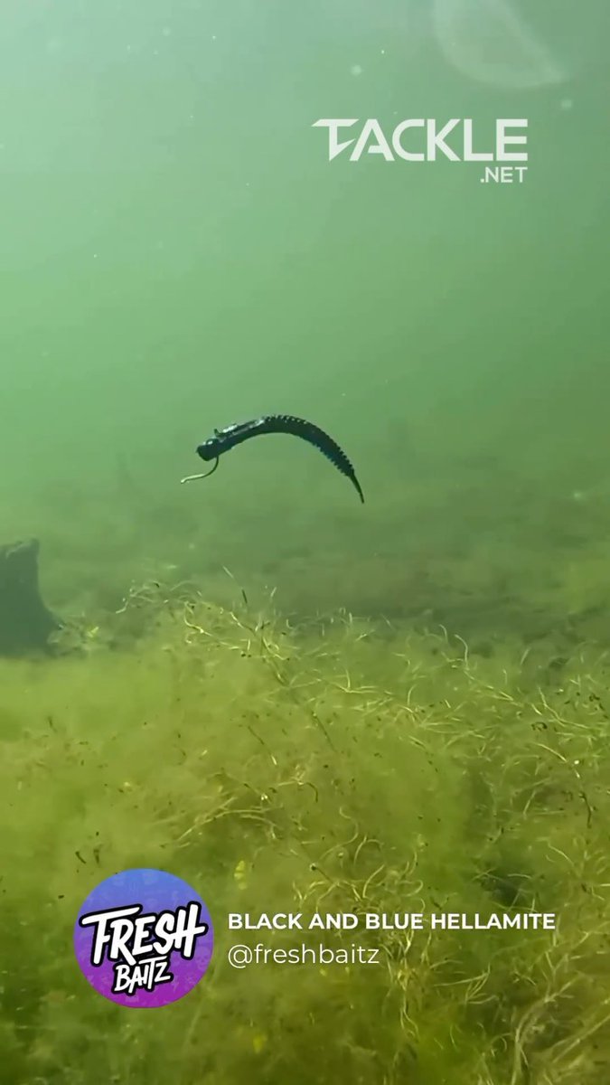 tackle_net's tweet image. Would you fish this bait?🎣 @freshbaitz . . . #custombaits #swimbait #customswimbaits #handmadelures #customlures #baitmaking #bigfish #fisherman #fishingtrip #luremaking #fishinglure #fishinglures #lurebuilding #bassfishing… instagram.com/reel/DBypfJNNR… tackle.net