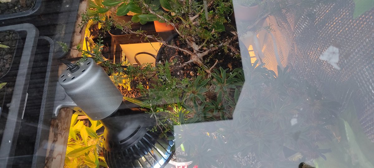 紙コップ tweet media