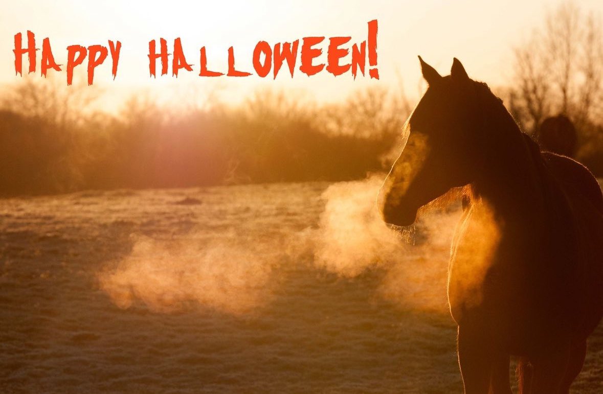 MarylandTB's tweet photo. Wishing all #mdbreds a fun and safe Halloween! 🎃👻 https://t.co/nGpYMFptRe