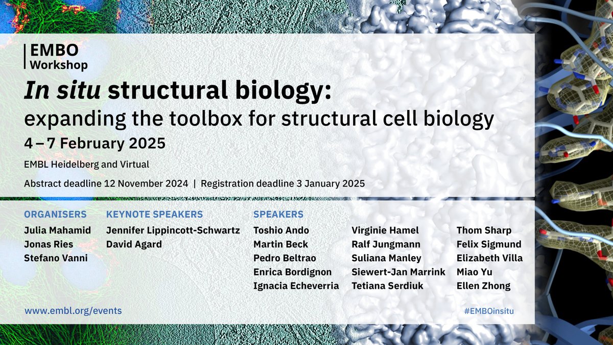 🙋🏻🔬 Will you be joining us for #EMBOinsitu?

What are the recent methodological developments and new tools for cell biology across scales: from molecules to organelles, cells and cell-cell interactions❓
How does one meaningfully integrate data from different methods❓
What