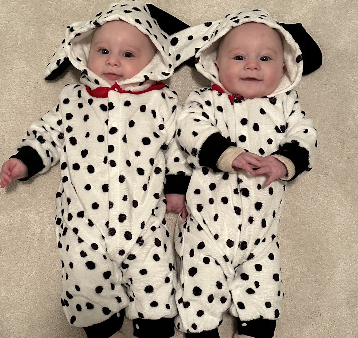 TaylerJRahm's tweet photo. Happy Halloween from the Rahm Dalmatians.        
🐶 🎃 🐶 https://t.co/LYWBseRAKX