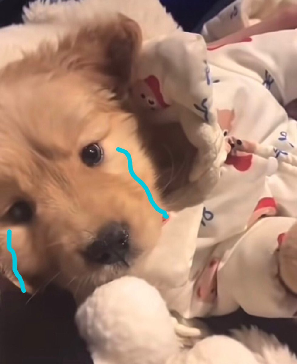 หลอกผีได้ แต่ห้ามหลอกให้รักน้า เจบคับ