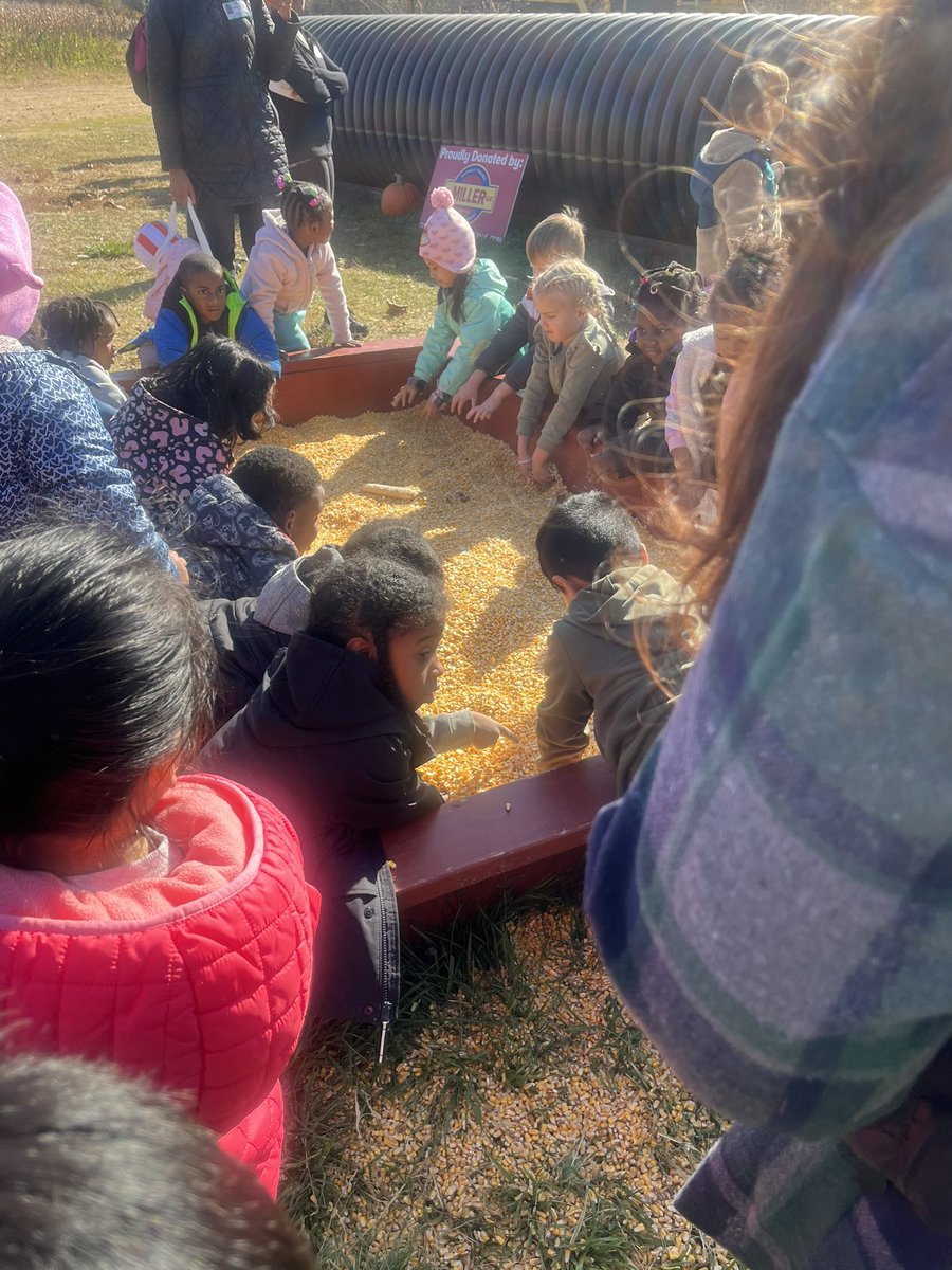 October was a busy month! Going to the pumpkin patch brought back fun memories as a kindergarten teacher! Happy Halloween everyone! 🎃