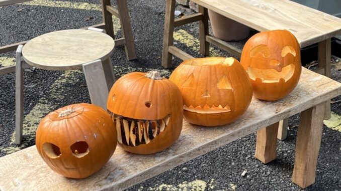 It's Halloween - is trick-or-treating culture dead? While some observers note a decrease in traditional door-to-door candy collection, research suggests that Halloween celebrations are experiencing a resurgence across the UK. Read more on Holloway Express! hollowayexpress.org.uk/is-trick-or-tr…