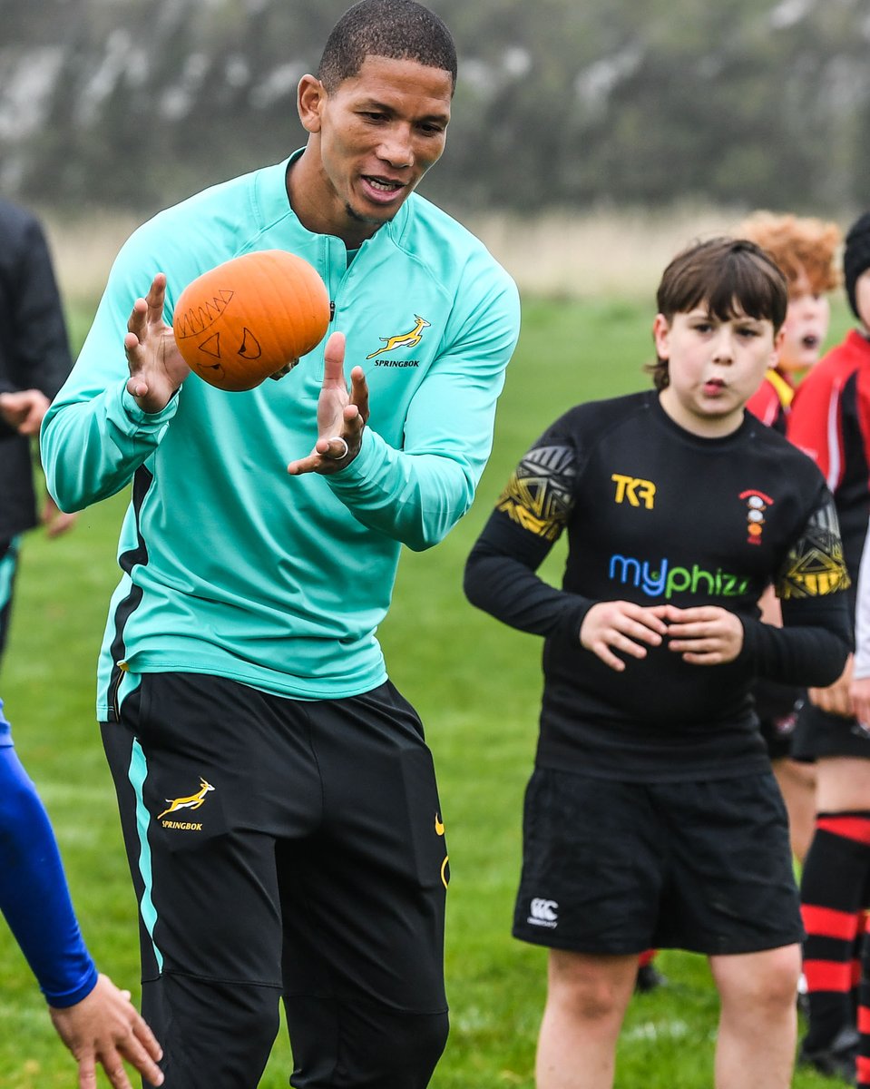 Springboks tweet media