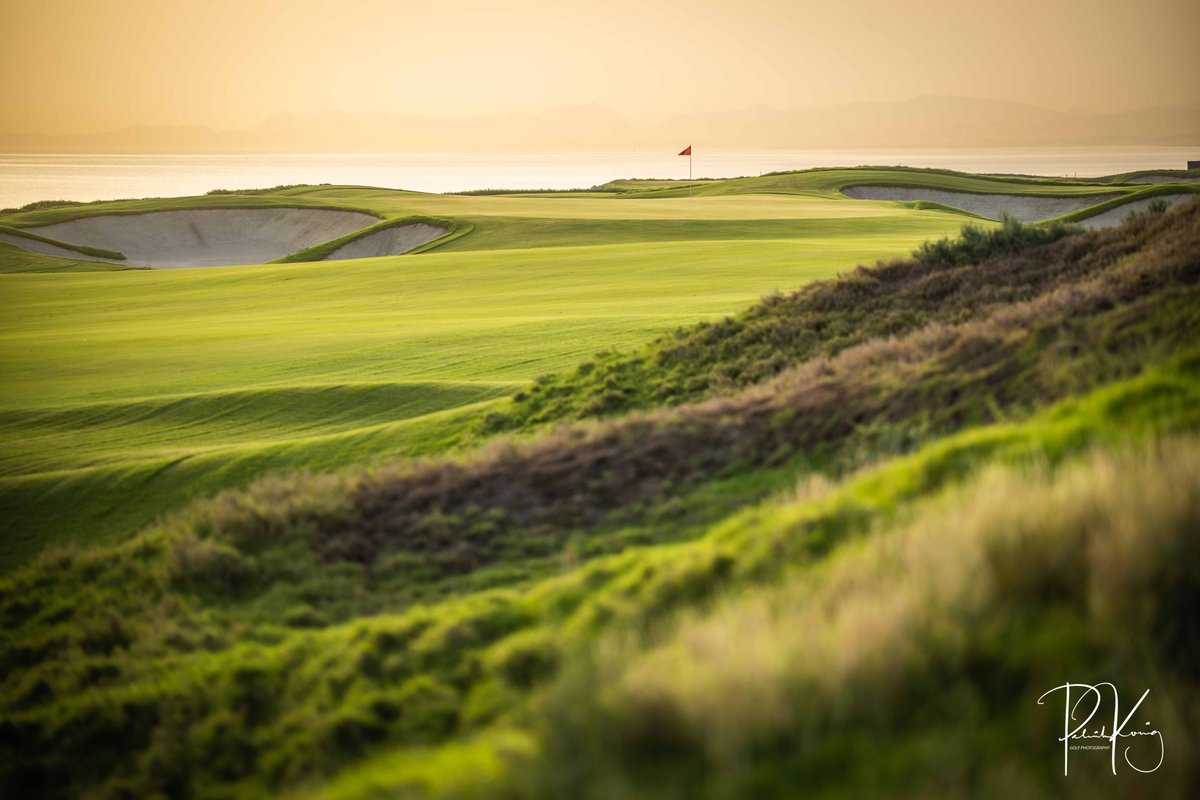 Patrick Koenig tweet media