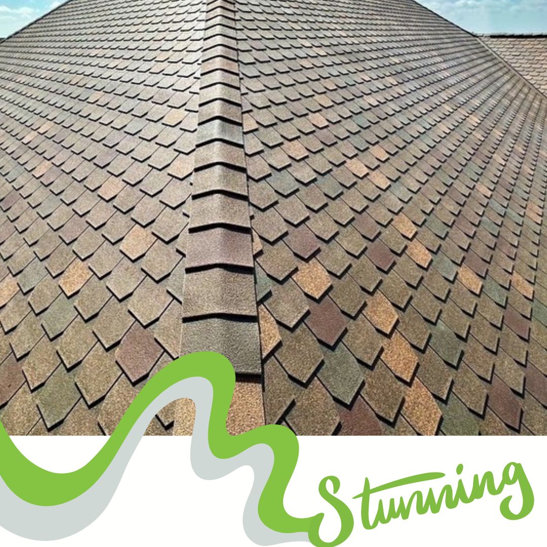 fwaveroofing's tweet photo. Don't let your roof be the scariest thing this season – trust FWAVE for a boo-tiful home all year round! 🎃
#FWAVE #reroof #Halloween2024 https://t.co/cNcGtNi5Ok