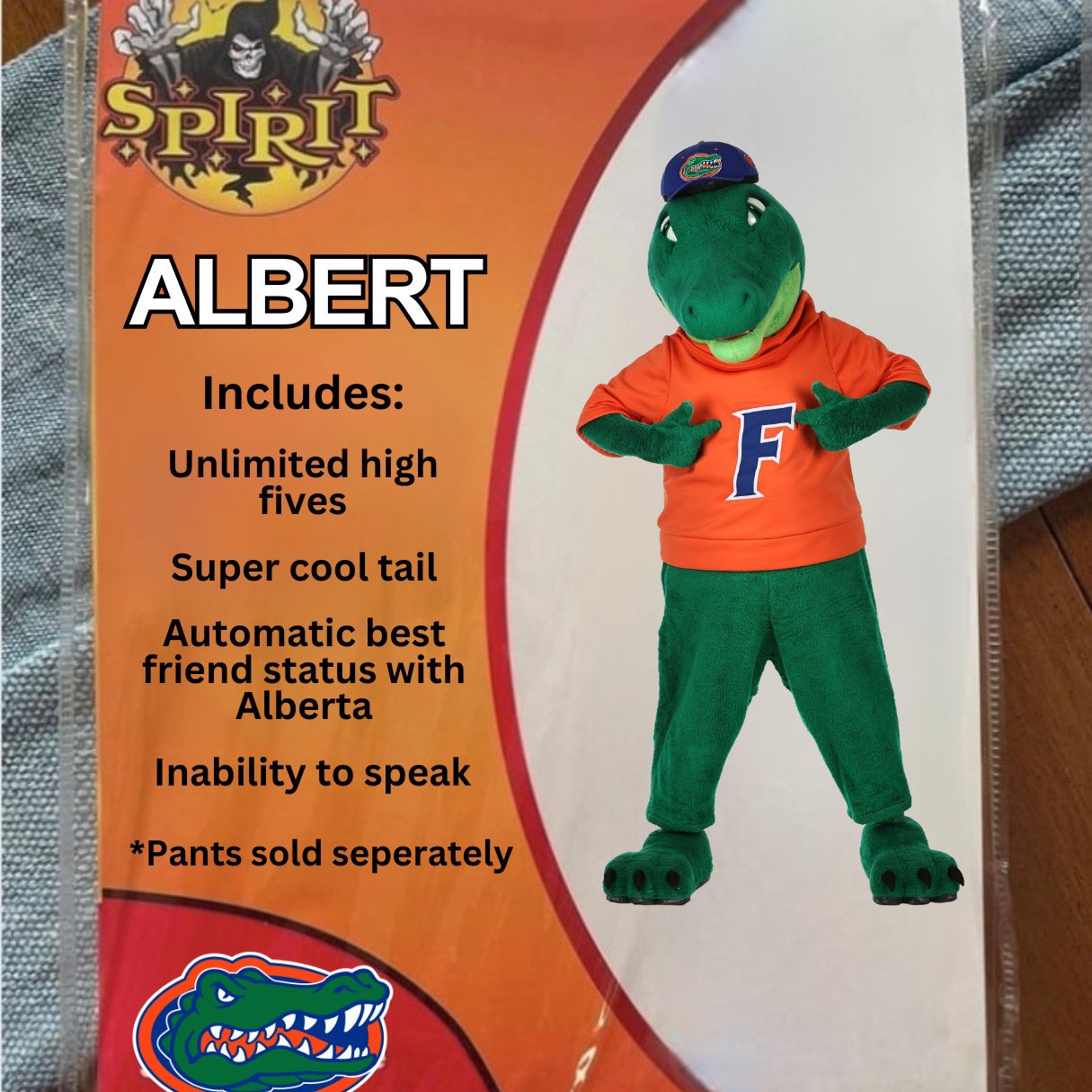 Which Is The Best Florida Gator Refrigerator Magnet - Home Tech