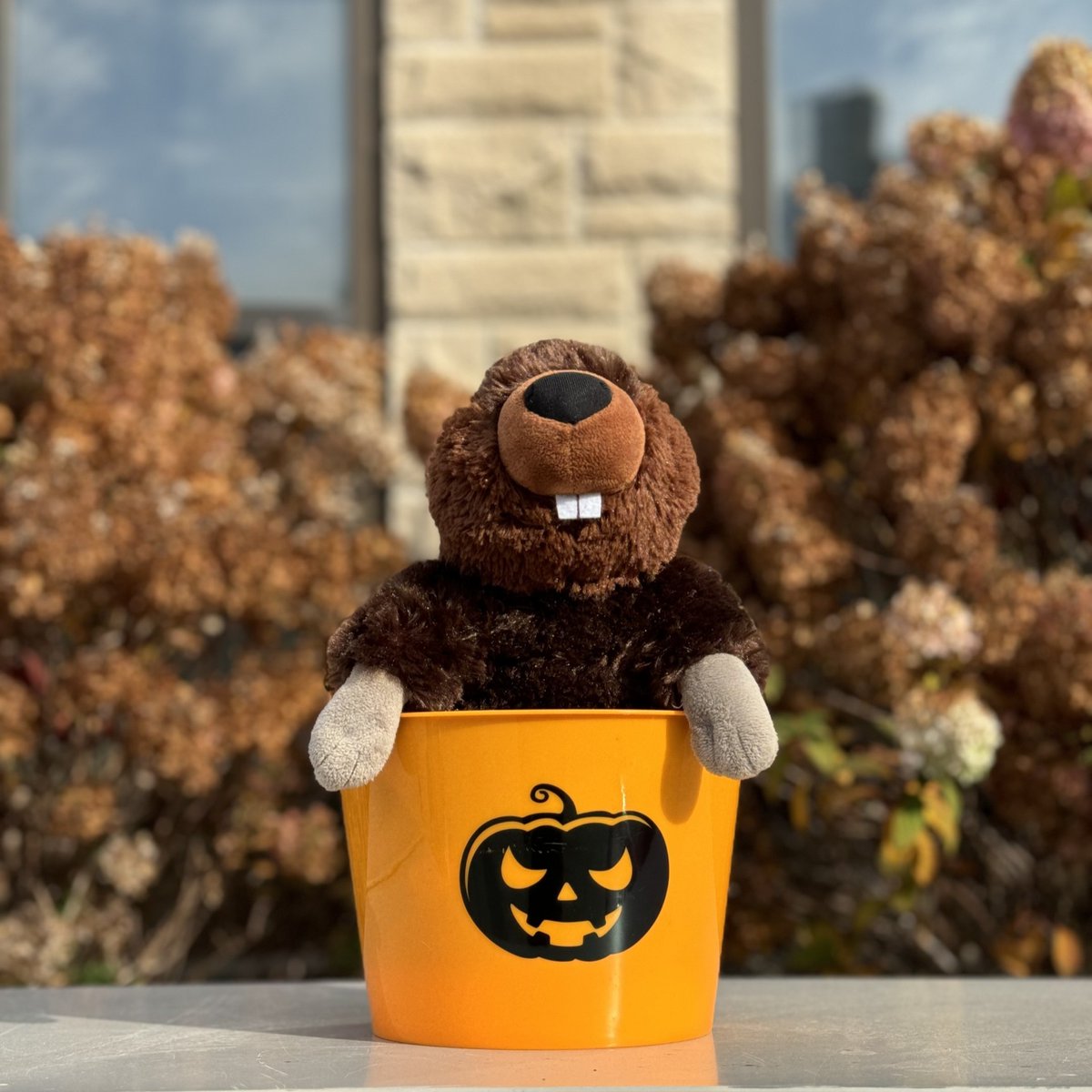 Creep it real, Huron! Have a safe and happy Halloween 👻🦇🎃
