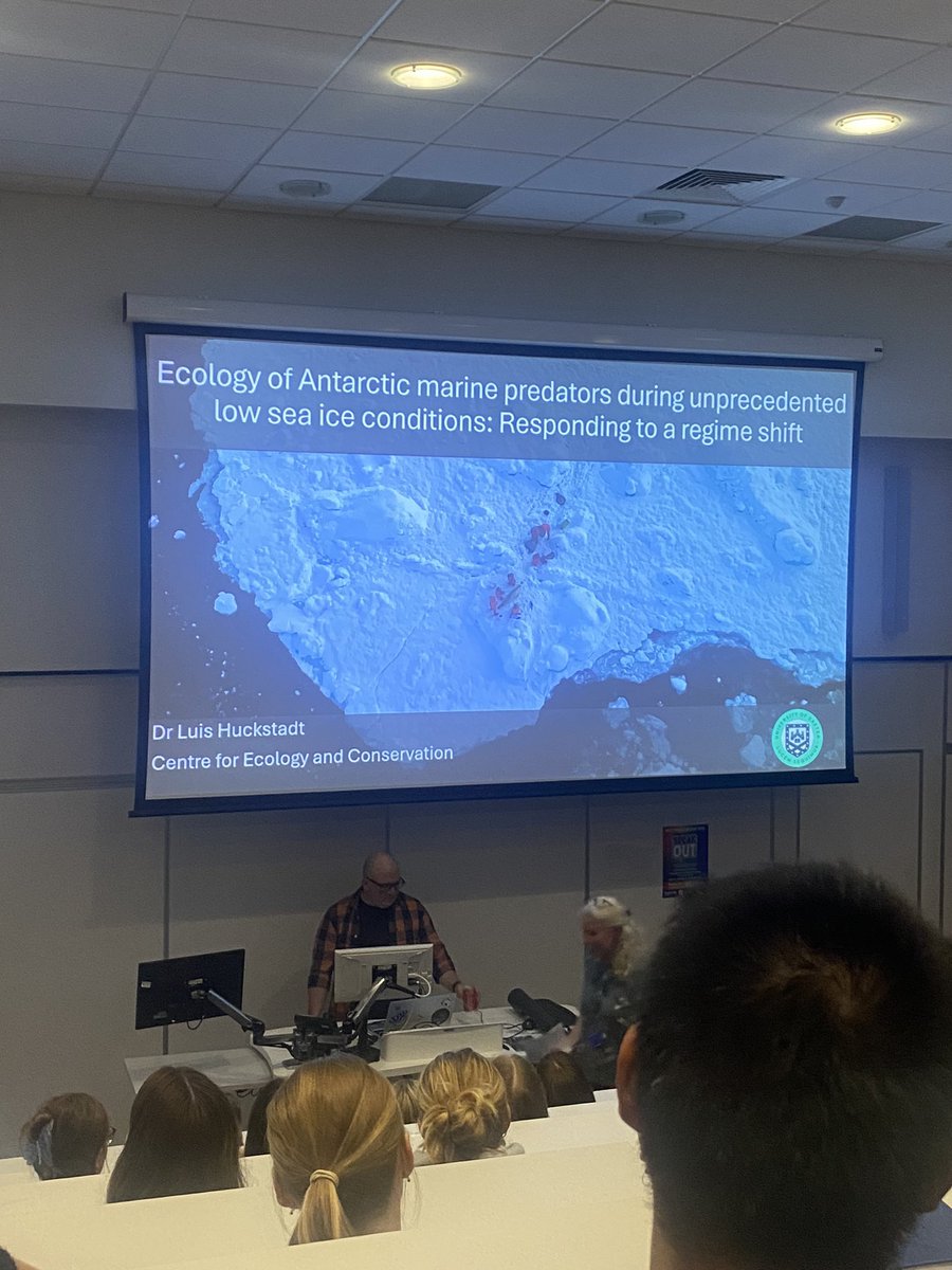 Helen__Chadwick's tweet image. Excellent but worrying talk from @UniExeCEC @ExeterMarine’s own @LuisHuckstadt on Antarctic sea ice declines & potential impacts for krill, crabeater seals and other marine predators 🦐🦭