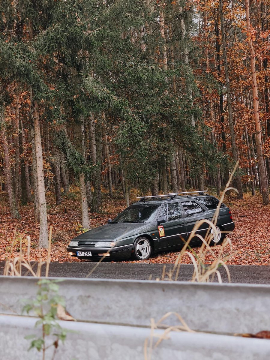 Béal Thibault tweet media