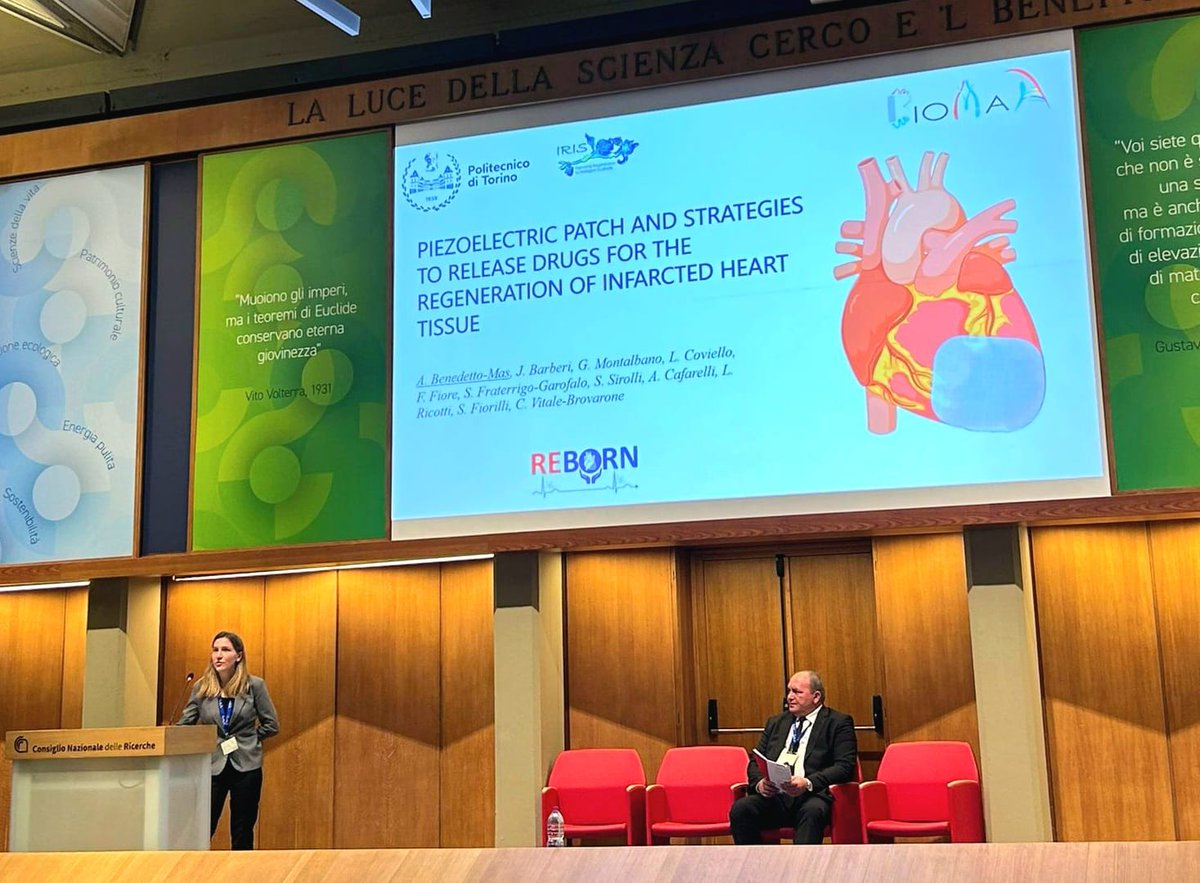 Reborn Project tweet media