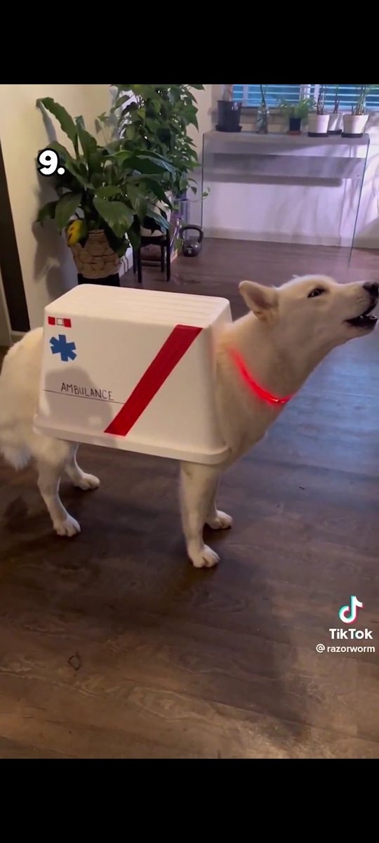 Angie✨️ tweet media