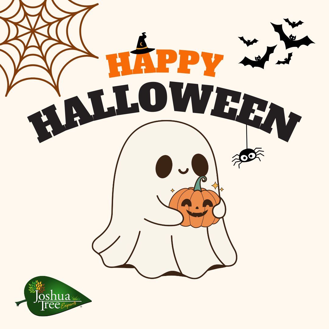 JoshuaTreeUSA's tweet image. Happy Halloween from JTE! 🎃🍬 Stay safe, stay spooky, and comment your best Fall pun below! Here is ours... 🌲 Are you oakay? Yes, I'm pine.

#Halloween #JoshuaTreeExperts #FallPuns #TrickOrTreat
