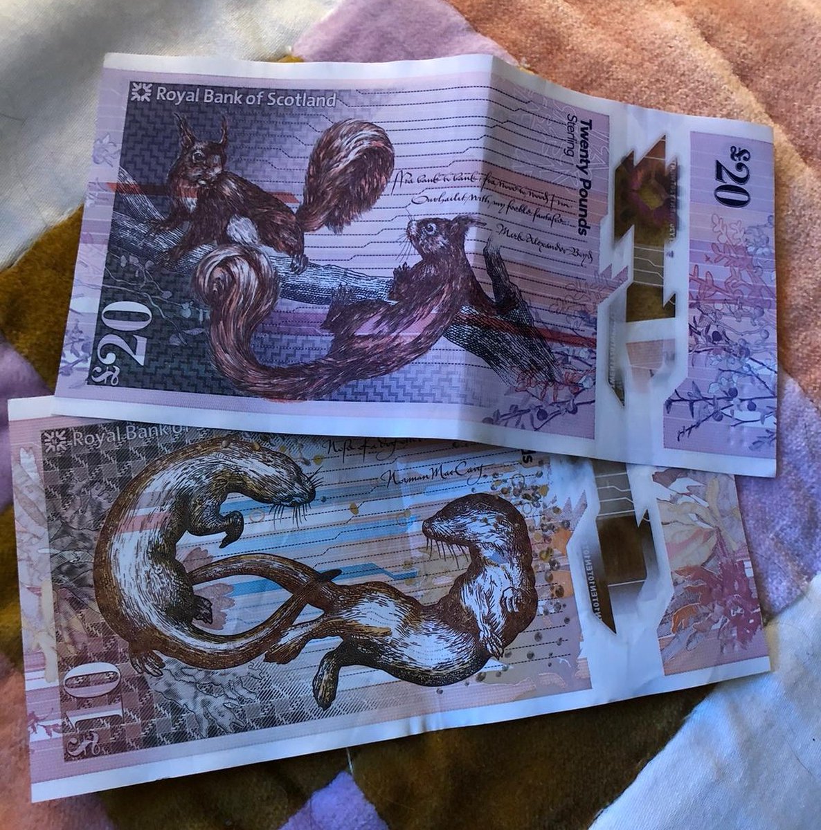 is that keri? tweet media