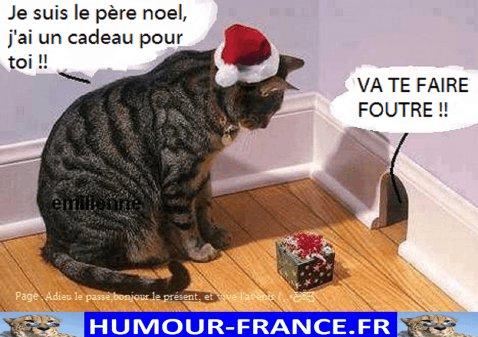 text alternatif