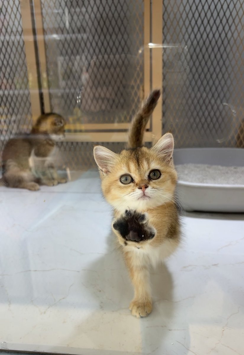 M̸A̸Z̸E̸N̸🪶 (@callmemazzen) on Twitter photo 