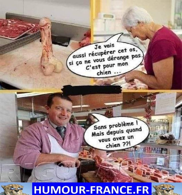 text alternatif