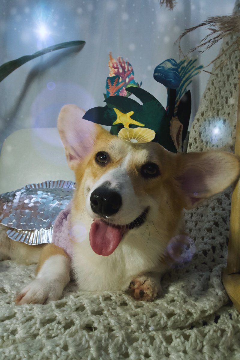 ethan◡̈🐕 tweet media