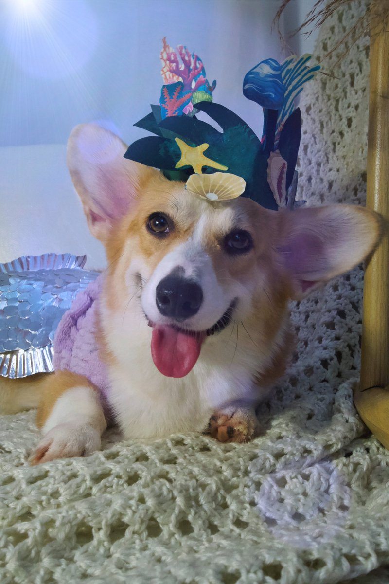 ethan◡̈🐕 tweet media