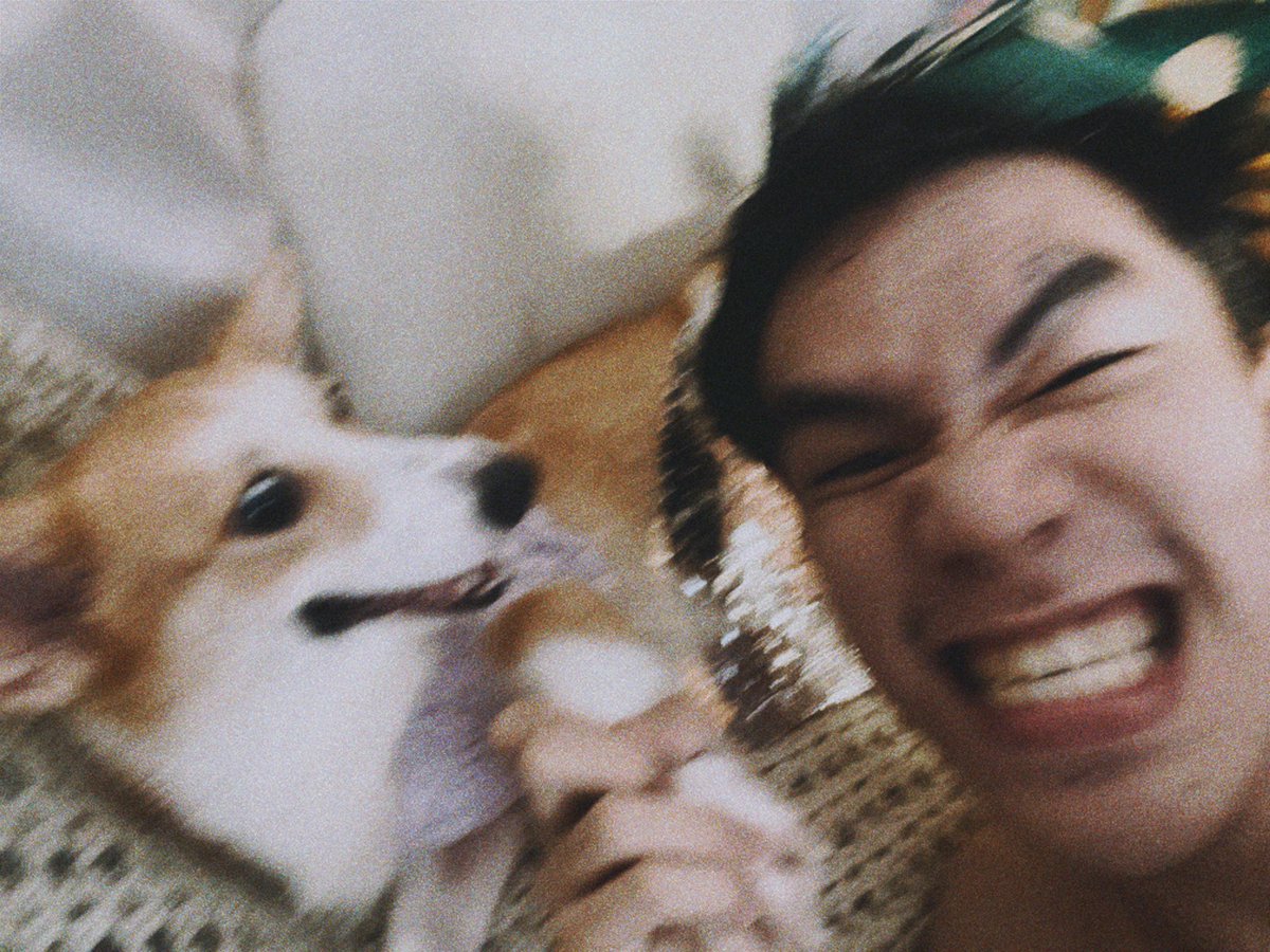 ethan◡̈🐕 tweet media