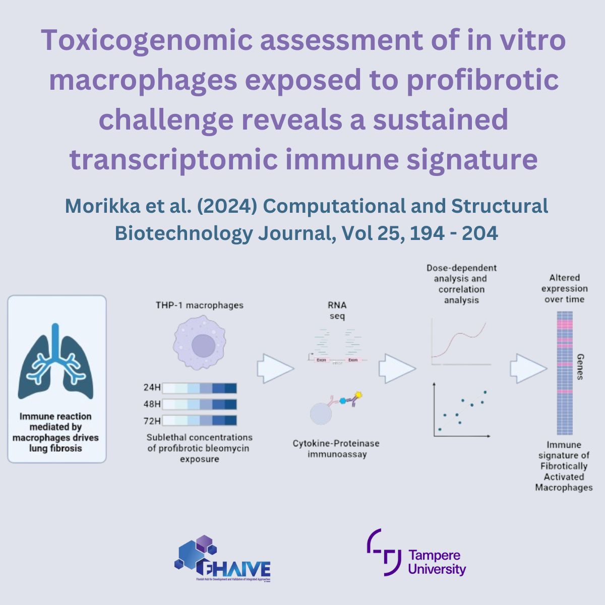 FHAIVE_TUNI tweet media