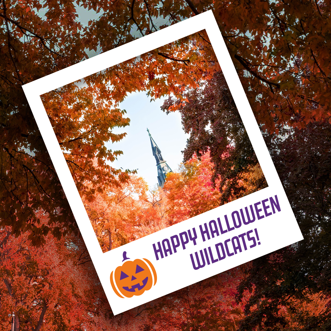 Happy haunting, Wildcats!🎃
