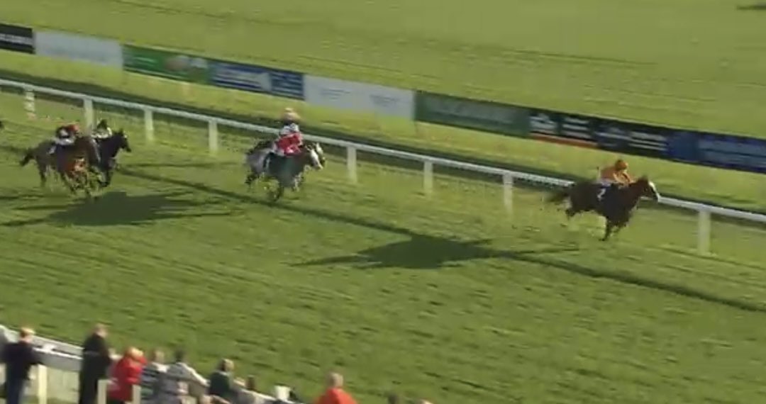 DGRhod_'s tweet photo. HK FOURTEEN WINS @ 66/1 🥇✅

FUCKING LENGTHS JOB

SP 5/2 NO RULE 4 https://t.co/qxhER5nLcE